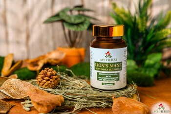 My Herbs Lion's Mane Soplówka Jeżowata 400 mg, kapsułki, 80 szt.