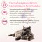 Beaphar CatComfort Excellence Kot, zestaw startowy z dyfuzorem, 48 ml
