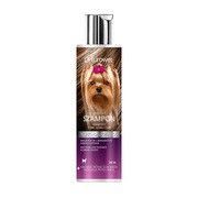 Eurowet, szampon York długi włos, 200 ml https://azcdn.doz.pl/image/d/product/5fd03a39-scale-180x180.png