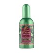 Tesori d'Oriente, woda toaletowa, Forest Ritual, 100 ml