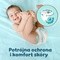 Pampers Premium Care Pants 7 (15+ kg), pieluchomajtki, 27 szt.