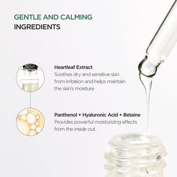 Anua Heartleaf 80% Ampoule, ampułka do twarzy, 30 ml