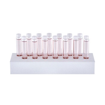 Seboradin Oily Hair, ampułki przeciw wypadaniu włosów, 14 ampułek x 5,5 ml