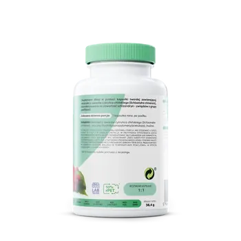 Osavi Schisandra cytryniec chiński 550 mg, kapsułki, 60 szt.