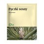 Pączki sosny, zioło pojedyncze, 50 g (Flos)