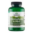Swanson Chlorofil z miętą, tabletki do ssania, 500 szt.