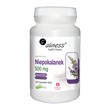Aliness Niepokalanek 500 mg, kapsułki, 100 szt.