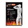 Hot Plast Forte, plaster rozgrzewający, 12 x 18 cm, 1 szt.