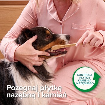 Beaphar Bamboo Toothbrush, szczoteczka do zębów dla psów i kotów, 1 szt.