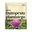 Flos, owoc ostropestu plamistego, 100 g