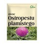 Flos, owoc ostropestu plamistego, 100 g