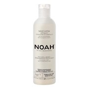 NOAH Anti-Yellow, 2.6 maska do włosów neutralizująca żółte tony, 250 ml https://azcdn.doz.pl/image/d/product/5d767bcd-scale-180x180.png