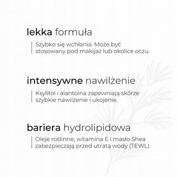 Sylveco, lekki krem brzozowy, 50 ml