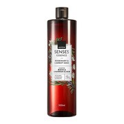 Avon Senses Essence, eliksir do kąpieli, Rozmaryn i Nasiona Marchwi, 500 ml https://azcdn.doz.pl/image/d/product/4bd4ef74-scale-180x180.png