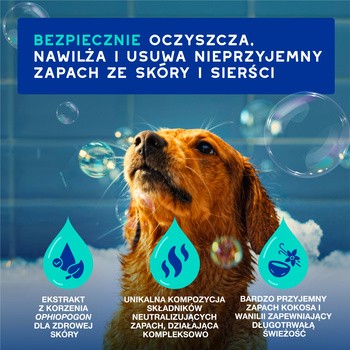 Douxo Spa Odour Control, szampon neutralizujący zapach dla psów, 250 ml