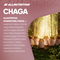 Allnutrition Mushrooms Chaga, kapsułki, 60 szt.
