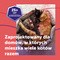 Feliway Friends, zestaw: dyfuzor i wkład uzupełniający 48 ml, 1 szt.