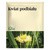 Flos, zioła do kąpieli, kwiat podbiału, 25 g