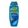 Palmolive Thermal Spa Mineral Massage, żel pod prysznic, 500 ml