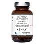 KENAY Witamina B-Complex LipoCellTech, kapsułki, 60 szt.