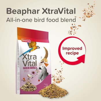 Beaphar XTR Parrot, karma dla dużych papug, 1 kg