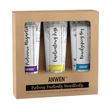 Zestaw odżywek do średniej porowatości Anwen, proteinowa magnolia + emolientowy irys + nawilżający bez, 3x100 ml