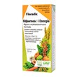 Floradix Odporność i Energia, płyn, 250 ml