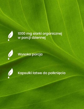 Essensey MSM siarka organiczna 1000 mg, kapsułki, 90 szt.