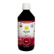 Joy Day, Eko koncentrat napoju probiotycznego, głóg, 500 ml