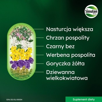 Sinulan Duo Forte, tabletki powlekane, 60 szt.