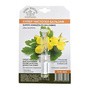 Herbal Traditions, super balsam do pielęgnacji skóry z glistnika-jaskółcze ziele, 3 ml