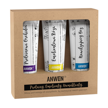 Zestaw odżywek do wysokiej porowatości Anwen, proteinowa orchidea + emolientowa róża + nawilżający bez, 3x100 ml