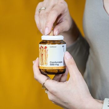 Wellbear Cordyceps 500 mg, kapsułki, 60 szt.