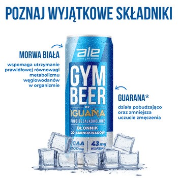 ALE Gym Beer by Iguana, piwo bezalkoholowe, 330 ml