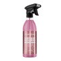 Cleangang Gloss Bloss, płyn do mycia szyb, Blossom Sky, 500 ml