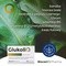 GlukoliQ, kapsułki twarde, 60 szt.