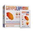 Alg Pharma Grypolan HOT, saszetki z proszkiem, 10 g x 10 szt.
