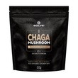 Solve Labs Chaga Mushroom, proszek, 30 g