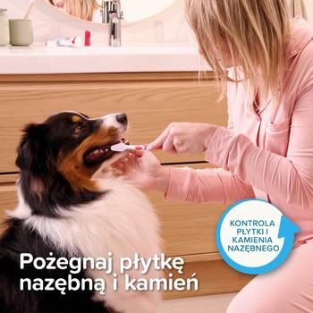 Beaphar Pasta, pasta do zębów dla psów i kotów, smak wątróbki, 100 g