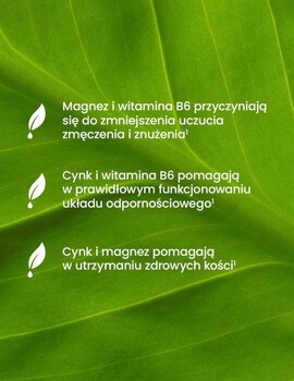 Essensey Magnez + Cynk + B6, kapsułki, 120 szt.