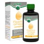 Dr Seidel Flawitol Omega Complex, preparat na zdrową skórę i sierść dla psów i kotów, 250 ml