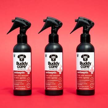 Buddycare, spray antyseptyczny do pierwszej pomocy na rany i skórę dla zwierząt, 200 ml