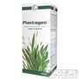 Plantagen, 12%, syrop z babki lancetowatej, 125 g