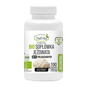 NatVita Bio Soplówka jeżowata ekstrakt, kapsułki, 100 szt.        
