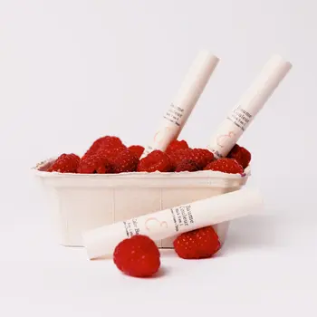 Embryolisse Baume Couleur, sztyft koloryzujący 3w1, Rose Framboise, 2,5 g
