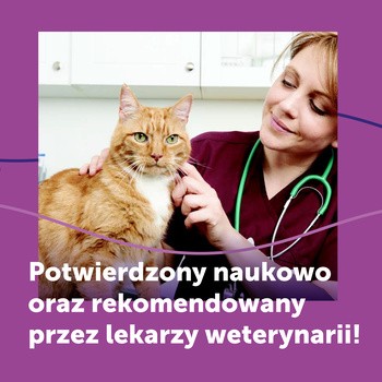 Feliway Classic, spray dla kota, 60 ml
