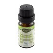 Alepia, olejek eteryczny, mięta pieprzowa, 10 ml