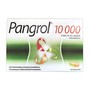 Pangrol, 10 000 j., kapsułki, 20 szt. (blistry)