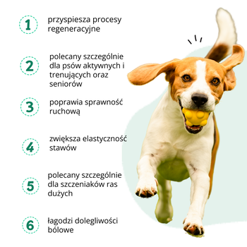 Pet Paw Stawy i Kości, preparat dla psa, kapsułki twist-off, 30 szt.