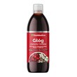 EkaMedica Głóg z owoców i kwiatów, płyn, 500 ml